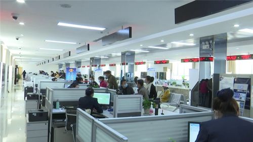 互聯網 政務服務 跑出便民利民加速度