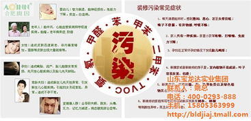 臨朐玻璃膠廠與寶龍達集團 如何利用個人互聯網服務實現在線咨詢？