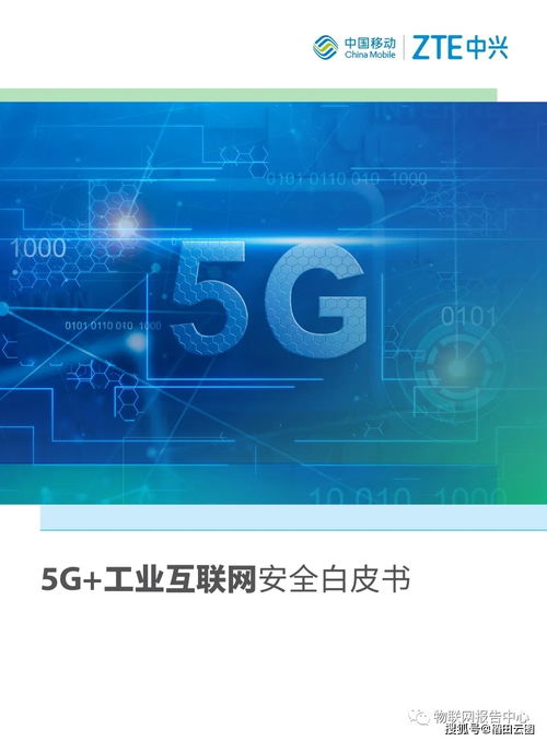 5G時(shí)代下工業(yè)互聯(lián)網(wǎng)安全白皮書 如何保障個(gè)人互聯(lián)網(wǎng)服務(wù)的雙軌安全？